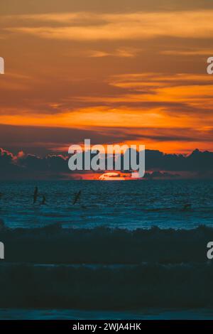 Vue pittoresque d'un coucher de soleil coloré avec un ciel orange nuageux avec des mouettes sur la mer vallonnée en fin d'après-midi dans la nature, dans la campagne Banque D'Images