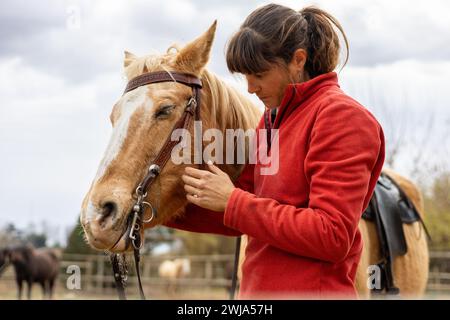 Jeune cavalière mettant les rênes et la bride sur son cheval brun dans un centre équestre Banque D'Images