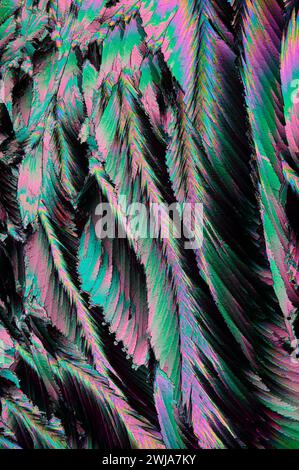 Cette image capture un gros plan de plumes avec une palette de couleurs rose fluo et turquoise vives, créant une texture abstraite et dynamique Banque D'Images