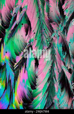 Cette image capture un motif abstrait surréaliste et coloré qui rappelle les plumes exotiques L'utilisation de nuances vives de rose, vert et sarcelle crée un V. Banque D'Images