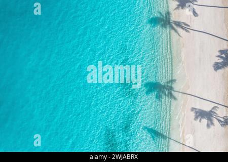 Les palmiers ombrent sur la plage de sable et l'océan turquoise d'en haut. Paysage naturel d'été étonnant. Superbe paysage de plage ensoleillée, relaxant paisible Banque D'Images