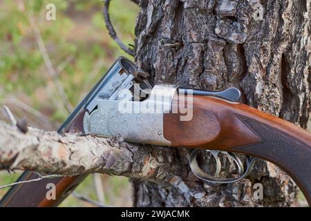 Traquer avec un chasseur dans les collines de la région provençale, à Beaurecueil, dans la région du Cengle et du bois des Roussettes (sud-est de la France) Hunte Banque D'Images