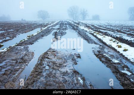Eau et boue sur le chemin de terre et les champs par une journée brumeuse, février après-midi Banque D'Images