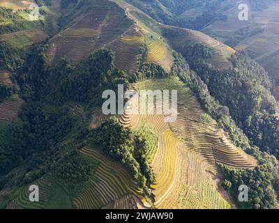 Une vue aérienne de nombreuses rizières en terrasses dans le district de Mu Cang Chai, Vietnam Banque D'Images