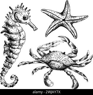 Clipart du monde sous-marin avec des animaux marins hippocampe, étoiles de mer, crabe. Illustration graphique dessinée à la main à l'encre noire. Un ensemble d'éléments isolés EPS Illustration de Vecteur