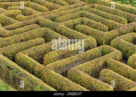 Labyrinthe dans un jardin botanique en Pologne Banque D'Images