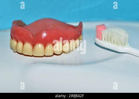 Sur un fond bleu se trouve la fausse mâchoire supérieure avec des dents blanches. Banque D'Images