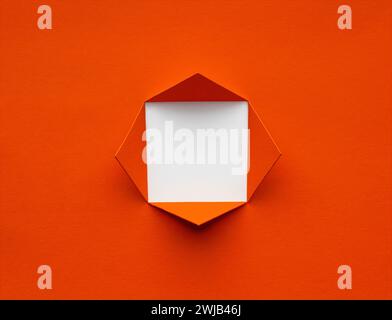 Trou de forme carrée dans du papier de lave luxuriant. Concept géométrique créatif minimal. Espace pour le texte ou l'image. Banque D'Images
