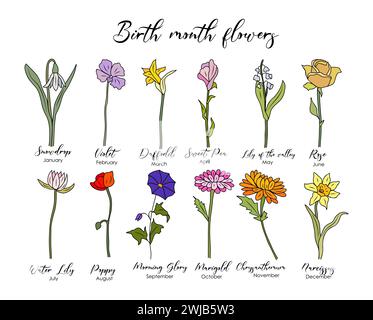 Ensemble de fleurs de mois de naissance colorées ligne parcourue Illustration de Vecteur