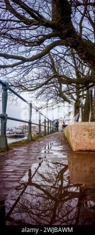 Haut niveau d'eau de la rivière IJssel avec barrière d'écrasement sous l'eau au boulevard de la tour ville Zutphen aux pays-Bas inondé Banque D'Images