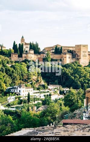 Plan vertical de l'Alhambra avec un feuillage luxuriant et des bâtiments blancs en dessous Banque D'Images