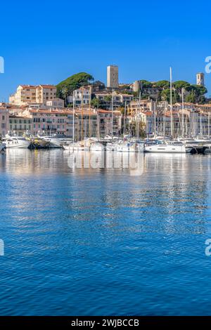 Magnifique IGY Vieux-Port de Cannes sur la Côte d'Azur, Côte d'Azur, France. Accostage pour bateaux et yachts de toutes tailles. Banque D'Images