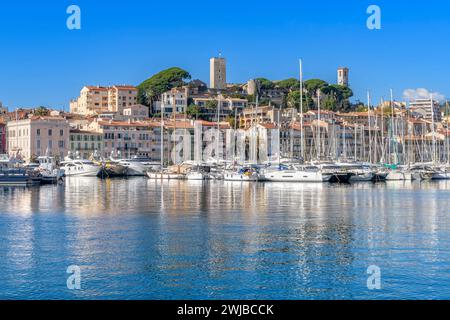 Magnifique IGY Vieux-Port de Cannes sur la Côte d'Azur, Côte d'Azur, France. Accostage pour bateaux et yachts de toutes tailles. Banque D'Images