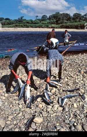 Filet de saumon River Spey Scotland deux netsmen avec leurs prises de saumon et de truite de mer Banque D'Images