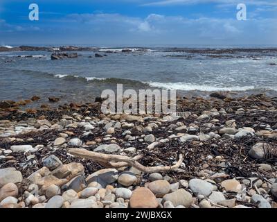 Arniston est une petite colonie balnéaire sur la côte de la région d'Overberg en Afrique du Sud Banque D'Images