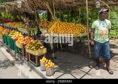 Un homme vendant des mangues dans un kiosque de fruits au bord de la route à Bani, en République dominicaine. Banque D'Images