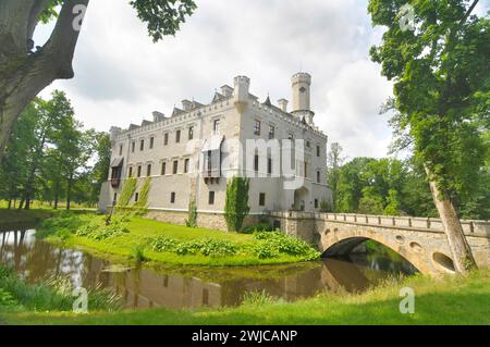 Château de Karpniki (allemand : Vischbach, Fischbach) - un château historique situé dans le village de Karpniki, en Pologne Banque D'Images