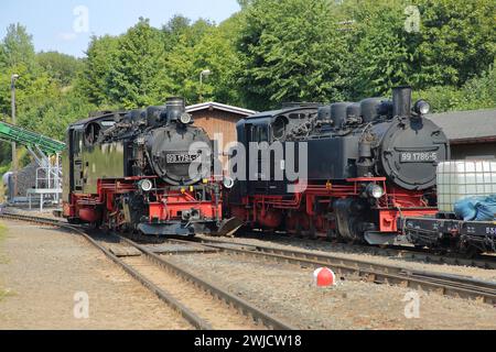 Deux locomotives à vapeur du chemin de fer de Fichtelberg, locomotive à vapeur, gare, Cranzahl, Sehmatal, Erzgebirge, Saxe, Allemagne Banque D'Images