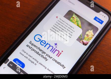 Site Web Google Gemini vu dans un écran iPhone. Gemini est une famille de modèles d'IA, le modèle d'IA de prochaine génération le plus grand et le plus capable par Google DeepMind. Banque D'Images