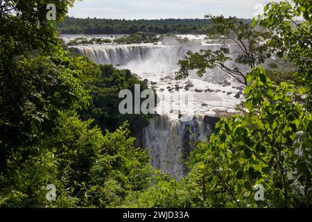 Foz do Iguaçu, Brésil. 17 janvier 2024. Vue sur les chutes d'Iguaçu du côté brésilien dans le parc national d'Iguaçu. Banque D'Images