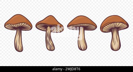 Vector Brown Cartoon Mushrooms dessinés à la main. Illustration de champignon, Collection de champignons, modèle de conception de champignon dessiné à la main Illustration de Vecteur