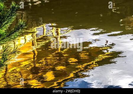 Jardin de réflexion d'eau coloré Kinkaku-Ji Rokuon-Ji Pavillon d'or Zen Bouddhiste Temple Park Kyoto Japon. Dates à 1397 site du patrimoine mondial. Banque D'Images