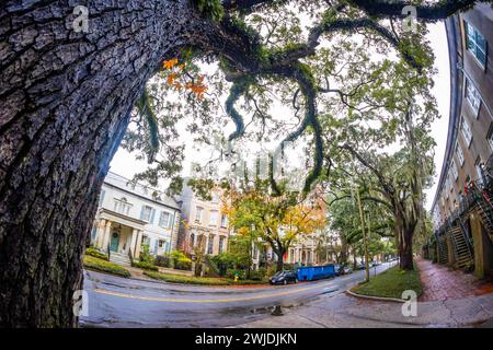 Savannah, GA, États-Unis - 12-26-2023 : vue sur la rue des bâtiments traditionnels à Savannah Géorgie personne Banque D'Images