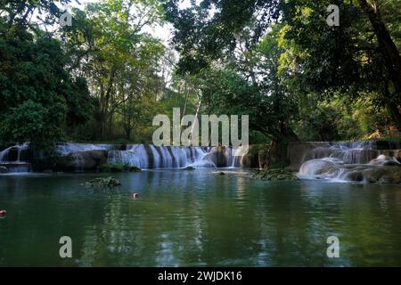 photo de paysage, petite cascade dans la forêt verte Banque D'Images