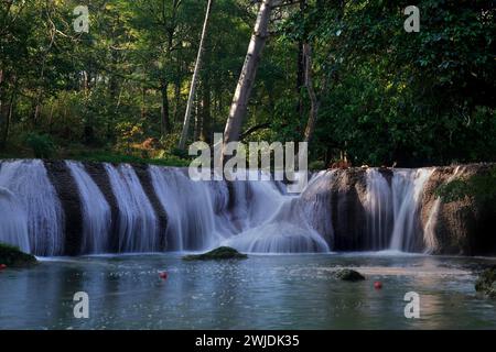 photo de paysage, petite cascade dans la forêt verte Banque D'Images