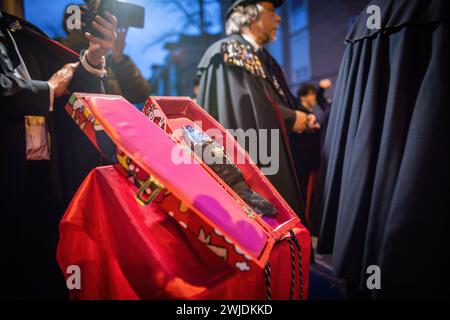 Madrid, Espagne. 14 février 2024. La sardine à l'intérieur de son cercueil avant l'enterrement lors de la célébration de l'enterrement de la parade Sardine qui a visité les rues de Madrid. Ce 14 février, mercredi des cendres, marquait la fin du carnaval avec l’enterrement traditionnel de la sardine. À Madrid, comme c'est la tradition chaque année, le caricaturage 'Joyful Brotherhood of the Burial of the Sardine' est en charge. (Photo de David Canales/SOPA images/SIPA USA) crédit : SIPA USA/Alamy Live News Banque D'Images