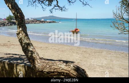 Arbre Pohutukawa encadrant un voilier à la plage de Takapuna. L'île de Rangitoto au loin. Focalisation sélective sur le tronc d'arbre. Auckland. Banque D'Images