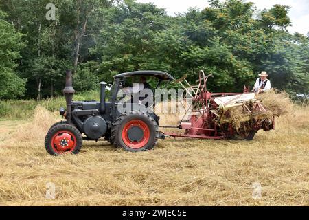 25.07.2021 historische Getreideernte Deutschland/ Sachsen Anhalt/ Altmark/ Altmarkkreis Salzwedel/ Diesdorf/ Freilichtmuseum/ historische Getreideernte mit alten Maschinen und Lanz Bulldog/ Traktor/ ***Nutzung nur redaktionell***/ *** 25 07 2021 historique récolte des céréales Allemagne Saxe Anhalt Altmark Altmarkkreis Salzwedel Diesdorf musée en plein air historique récolte de céréales avec de vieilles machines et tracteur Lanz Bulldog à des fins éditoriales uniquement Banque D'Images