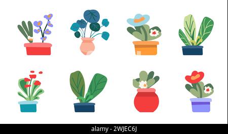 Ensemble botanique, fleurs d'intérieur. Plantes de maison dans des pots pour l'intérieur. Style minimaliste. Illustration vectorielle. Illustration de Vecteur