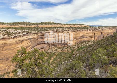 Vue sur Upper Ute Canyon dans le Colorado National Monument Banque D'Images