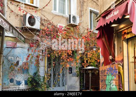 Istanbul, Turquie - 10 décembre 2023 : typique petite rue d'Istanbul dans la vieille partie de la ville, quartier de Beyoglu Banque D'Images