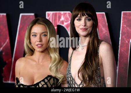 Sydney Sweeney und Dakota Johnson BEI der Weltpremiere des Kinofilms Madame Web im Regency Village Theatre. Los Angeles, 12.02.2024 *** Sydney Sweeney et Dakota Johnson à la première mondiale du film Madame Web au Regency Village Theatre Los Angeles, 12 02 2024 Foto:XJ.xBlocx/xFuturexImagex madame web 4277 Banque D'Images