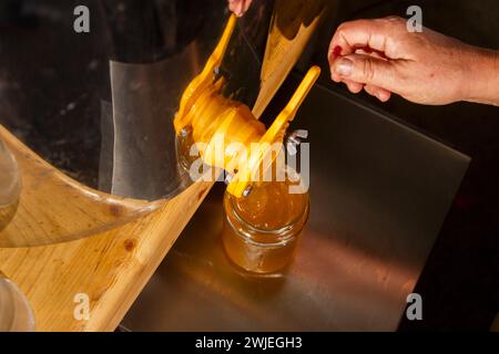 Apiculture à Monetier-les-bains, dans les Alpes-françaises : mise en pot de miel Banque D'Images