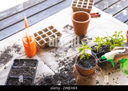 Outils de jardinage et plantes sur une table, avec espace de copie Banque D'Images