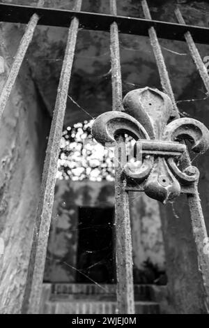 Ancienne clôture en fer forgé rouillé avec une fleur de lis ornementale Banque D'Images