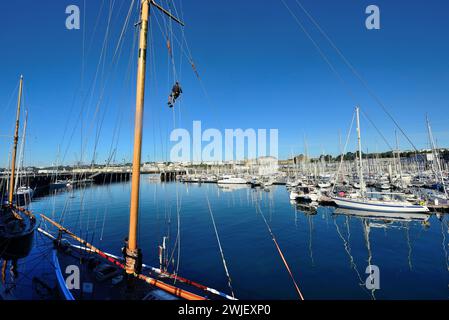 Brest (Bretagne, nord-ouest de la France) : marina “port de plaisance du Château” Banque D'Images