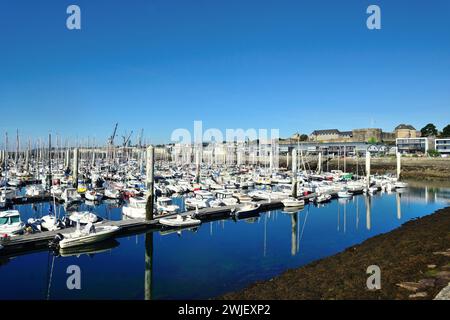 Brest (Bretagne, nord-ouest de la France) : marina “port de plaisance du Château” Banque D'Images