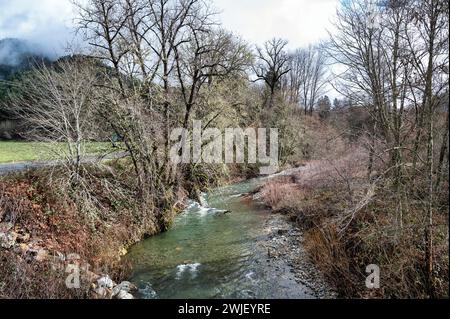 Un ruisseau tranquille serpente à travers des bois luxuriants. Oregon, États-Unis Banque D'Images