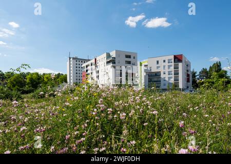 Dijon (nord-est de la France) : immeubles résidentiels dans le quartier de Pont des Tanneries, bloc urbain compact et parcs, locateur de logements sociaux ICF Banque D'Images