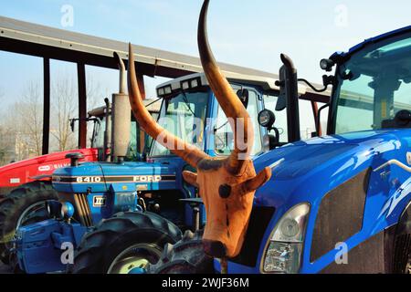 Padoue, Italie, 15 février 2024. Les agriculteurs avec 700 tracteurs manifestent contre les politiques agricoles européennes, contre l'introduction de cultures OGM, contre le monopole du marché des semences par les multinationales et contre l'importation de produits agricoles de pays tiers qu'ils ne respectent pas les normes européennes en produisant à des prix compétitifs. Crédits : Ferdinando Piezzi/Alamy Live News Banque D'Images