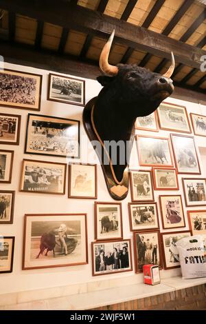 Sanlucar de Barrameda, Cadix, Espagne- 3 octobre 2023 : tête de taureau dans un bar à tapas andalou typique à Sanlucar de Barrameda Banque D'Images