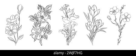 Ensemble de fleurs sauvages, de jardin, de plantes ligne Ar. Illustration de Vecteur