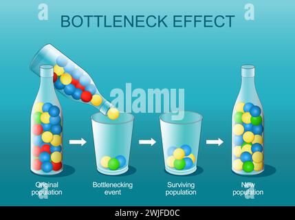 Effet de goulot d'étranglement. Sélection naturelle. Le goulot d'étranglement génétique est une réduction brutale de la taille d'une population. explication du phénomène en utilisant le colorfu Illustration de Vecteur