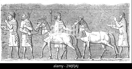 Bas-relief ou sculpture en pierre relief des chevaux assyriens et des hommes assyriens portant des tuniques d'Assyrie, l'Irak moderne. Gravure vintage ou historique ou illustration 1863 Banque D'Images