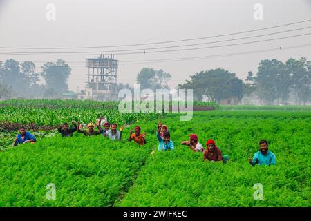 Les agriculteurs travaillent dans leurs champs de légumes à l'aube sereine de l'hiver de Saver, leur souffle visible dans l'air doux. Cette image a été capturée en janvier Banque D'Images