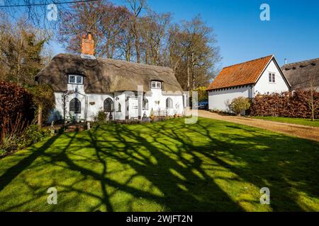 Dalham, Suffolk, Angleterre - 19 février 2016 : chaume du 16ème siècle classé Grade II cottage à la lumière du soleil Banque D'Images